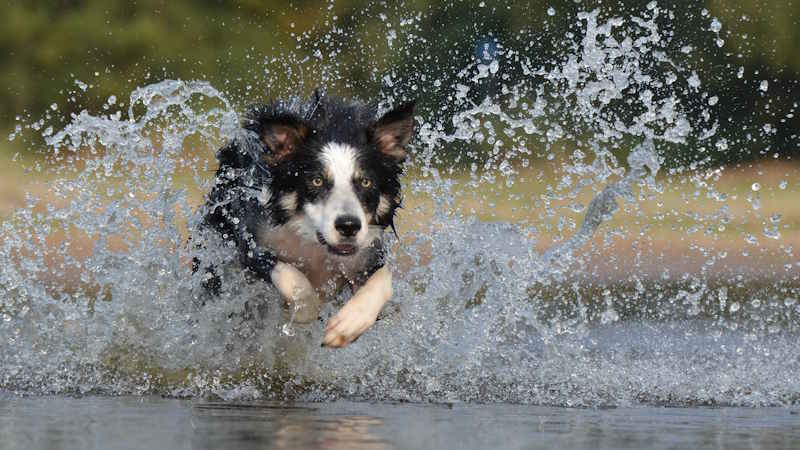 Hydration Isn’t Optional—It’s Survival