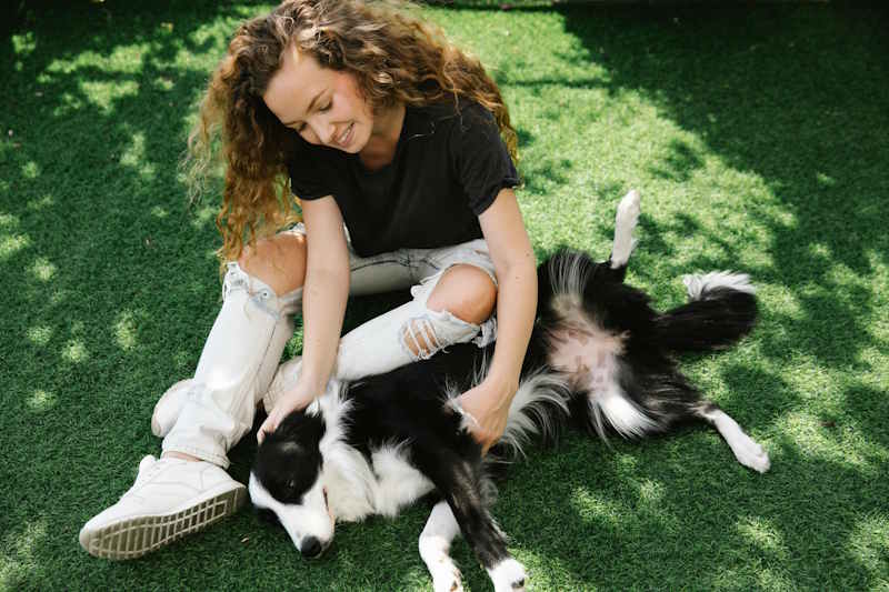 Dog and girl under a tree shadow