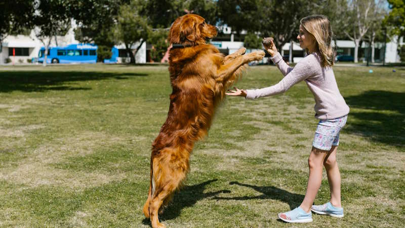 Girl training dog